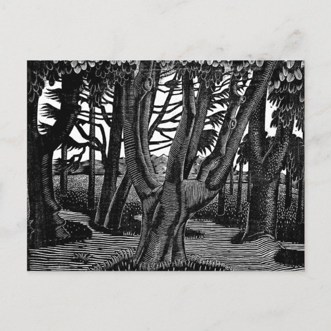 Ravilious - Woodland Outside Florence Postcard (Front)