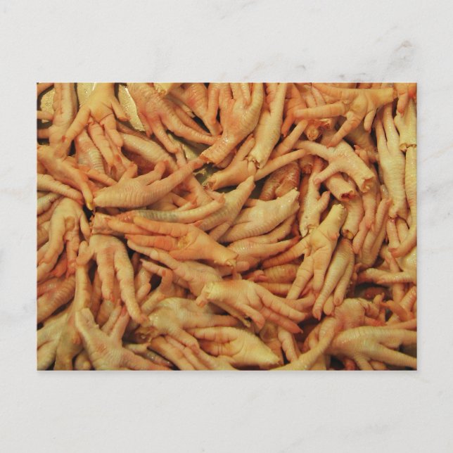 Raw Chicken Feet Postcard (Front)