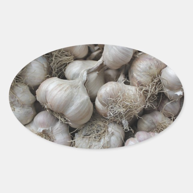 Raw Garlic Seasoning Healthy Food Wallpaper Oval Sticker (Front)