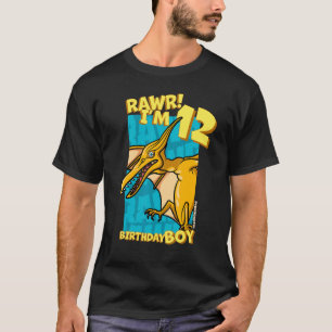 Rawr I'm 12 Birthday Boys 12th Birthday Dino Pter T-Shirt