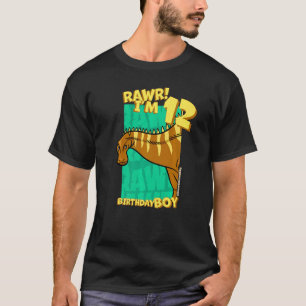 Rawr I'm 12 Birthday Boys 12th Birthday Dino Rebba T-Shirt