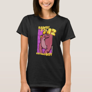 Rawr I'm 12 Birthday Boys 12th Birthday Dino Wuerh T-Shirt