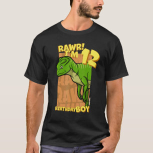 Rawr I'm 12 Birthday Boys 12th Birthday Dino Yinl T-Shirt