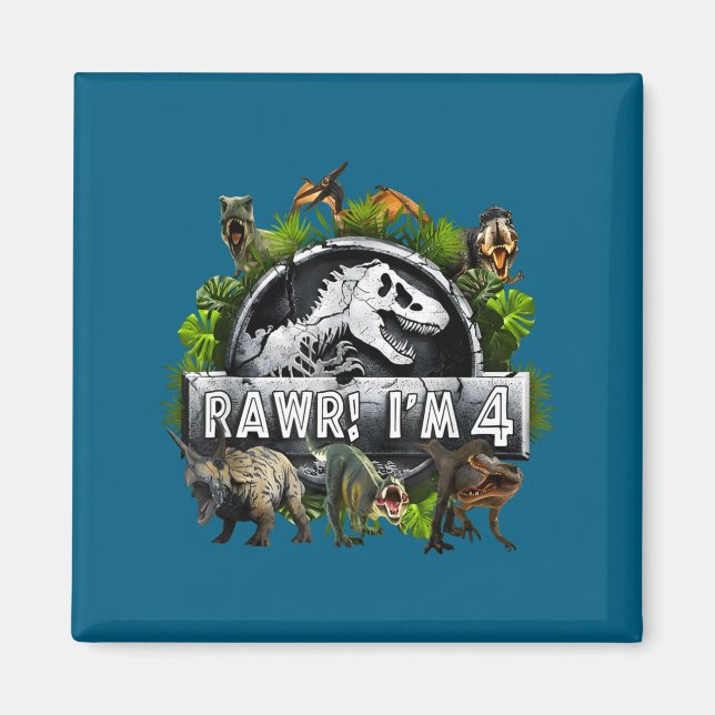 Rawr I'm 4 4th Birthday T Rex Dinosaur Funny Party Magnet (Front)