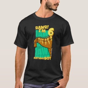 Rawr I'm 6 Birthday Boys 6th Birthday Dino Rebbach T-Shirt
