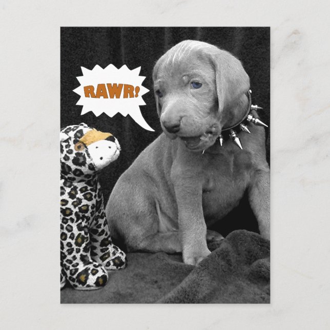 Rawr Postcard (Front)