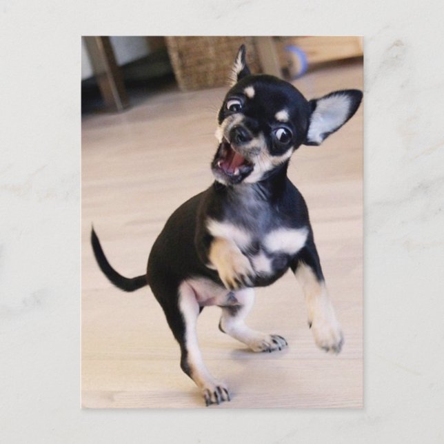 Rawr Postcard (Front)