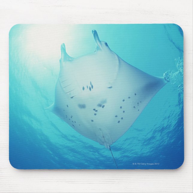 Ray Mouse Mat (Front)