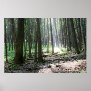 Ray of Hope 36 x 24 Poster