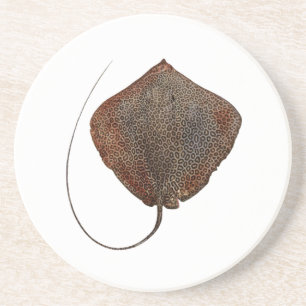 RAY OF LIFE COASTER