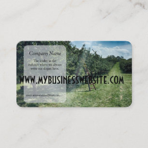 Ray of light hits a Ladder in An Apple Orchard Business Card