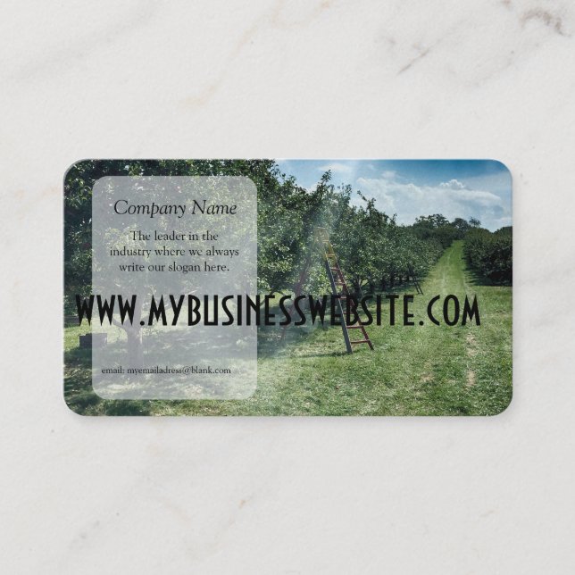 Ray of light hits a Ladder in An Apple Orchard Business Card (Front)