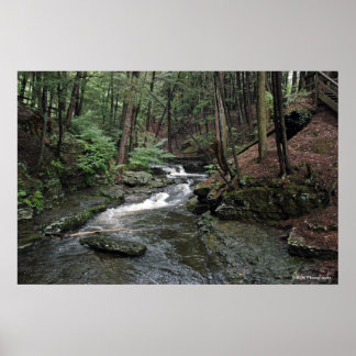 Raymondskill River in the Poconos print 040