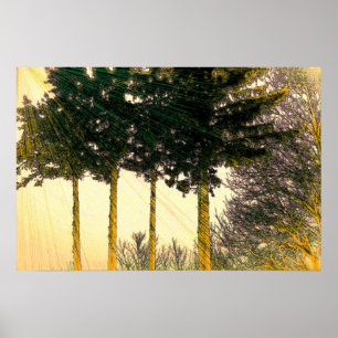 Rays of Hope Poster