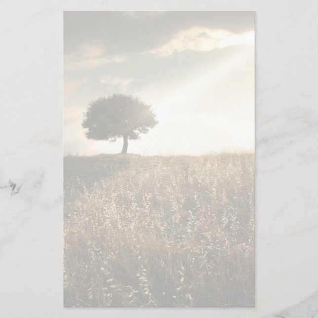 Rays of light break through the dramatic sky stationery (Front)