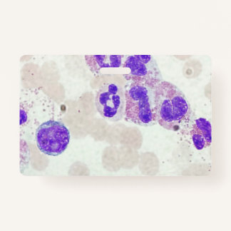 RBCs WBCs Slide Microscope Hematology Lab ID Badge