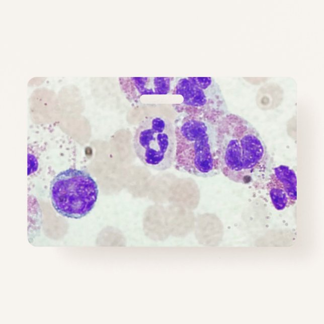 RBCs WBCs Slide Microscope Hematology Lab ID Badge (Front)