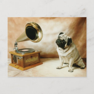 RCA Pug Dog Postcard