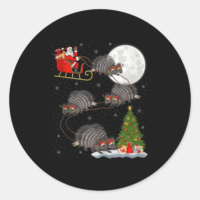 Rcune Santa Sleigh Flying Funny Magical Christmas  Classic Round Sticker (Front)