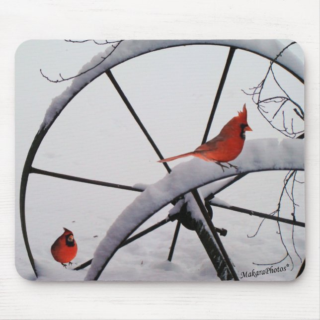 rdbds-olwhlsplc-z mouse mat (Front)