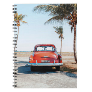 Re beetle beside coconut trees notebook