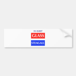 RE-ELECT Glass Steagall Bumper Sticker