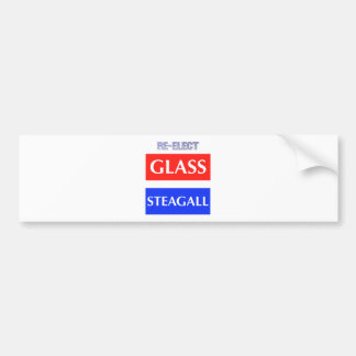 RE-ELECT Glass Steagall Bumper Sticker