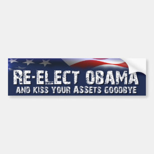 Re-Elect Obama - Anti Obama Election Bumper Sticker