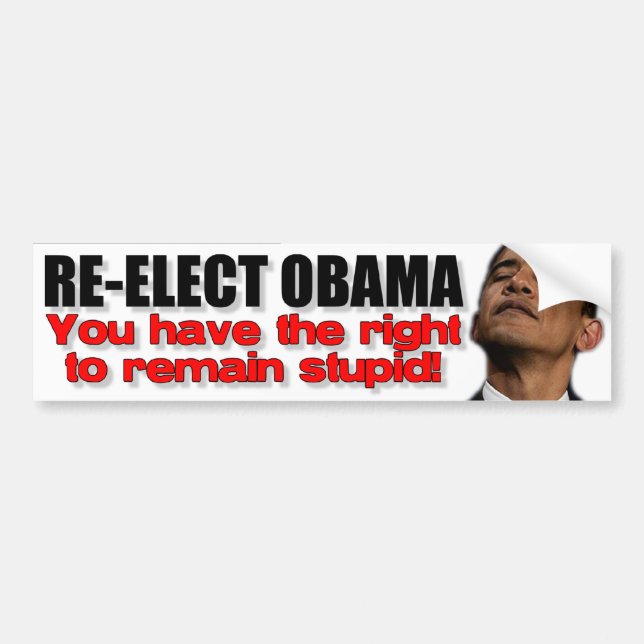Re-Elect Obama Bumper Sticker (Front)