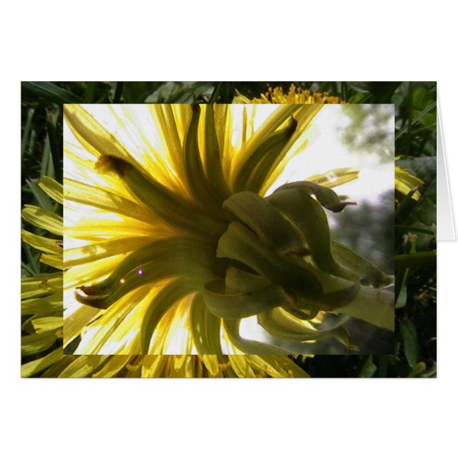 reach (Front Horizontal)