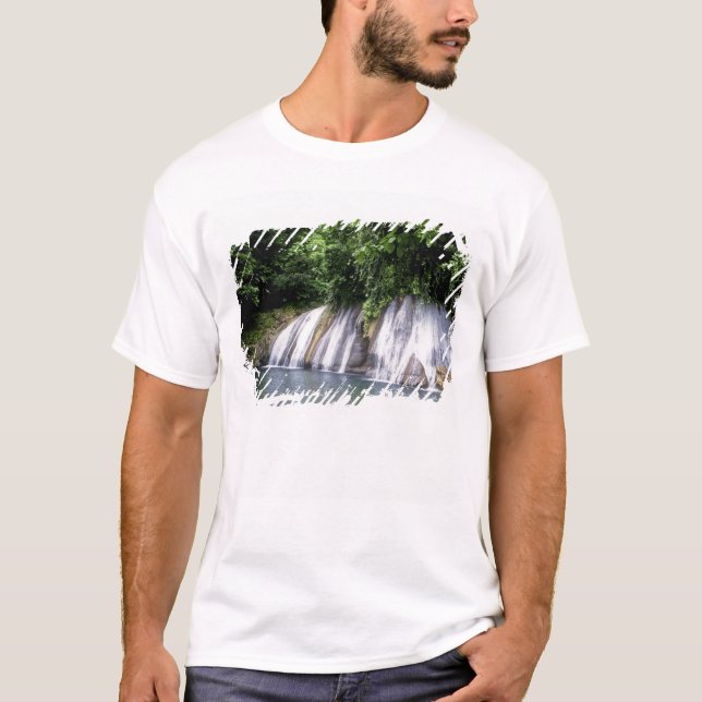 Reach Falls, Port Antonio, Jamaica T-Shirt (Front)