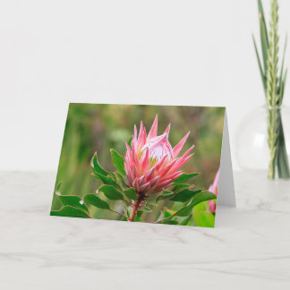 Reach for the sky card