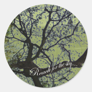 Reach for the Sky Sticker