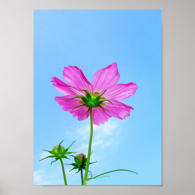 Reaching for Life Poster (Front)