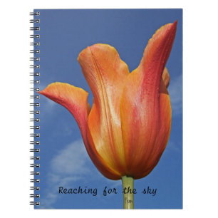 reaching for the sky notebook