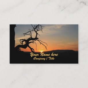 Reaching for the Sun Business Card
