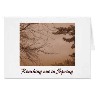 Reaching Out in Spring/Love Card