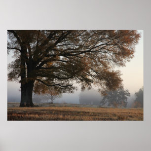 Reaching out poster
