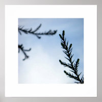 Reaching Out To You/Inspirational Nature Print