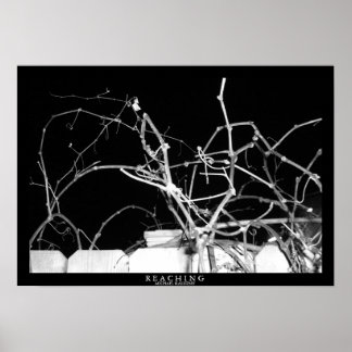 Reaching Poster