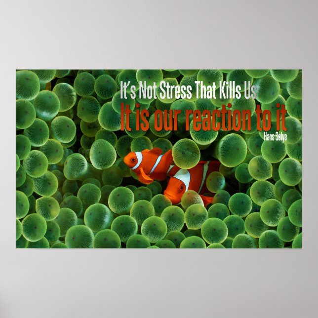 Reaction to Stress Motivational Poster (Front)