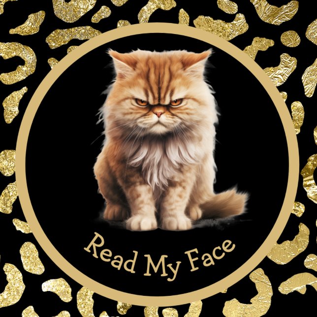 Read My Face Or Your Text Funny Angry Cat Mug (Creator Uploaded)