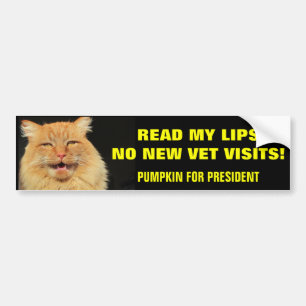 Read My Lips...Pumpkin for President Bumper Sticker