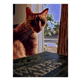 Read My Mind, Cat Poster