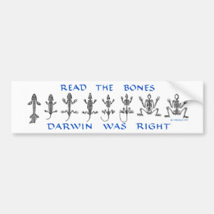 Read The Bones, Darwin Was Right Bumper Sticker