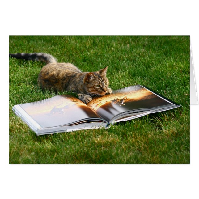 Reading Cat (Front Horizontal)