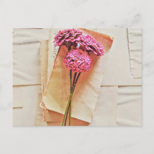 Reading Lovers Gift Postcard