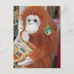 Reading Orangutan Postcard