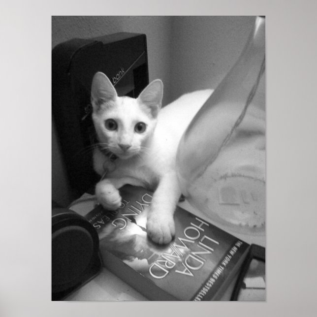 Reading Poster (Front)