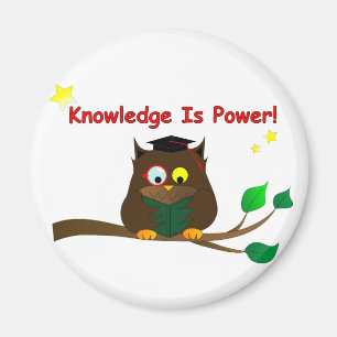 Reading Wise Owl Magnet